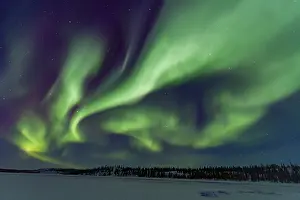 Northern Prints: Aurora borealis lights up the sky above the boreal forest on a winter night in Canada