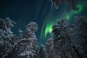 Aurora Borealis (Northern Lights), Pallas-Yllastunturi National Park, Lapland, Finland
