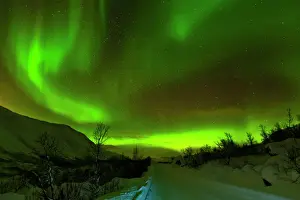 Ethereal Prints: Aurora borealis (Northern Lights) seen over a snow covered road