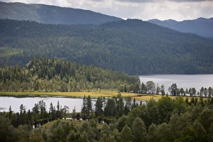 Images Dated 7th August 2009: Austbo, Telemark, Norway, Scandinavia, Europe
