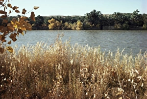 Autumn, Ana