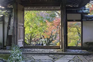 Paving Stone Prints: Autumn color in Anraku-ji temple in Kyoto, Japan, Asia