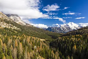 X 2019m11 Prints: Autumn color near to Cortina d Ampezzo in the Dolomites, Veneto, Italy, Europe
