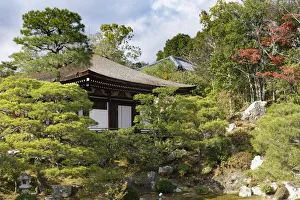 Kyoto Gallery: Autumn color in Ninna-ji Temple, founded in 888, UNESCO World Heritage Site, Kyoto