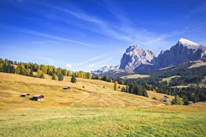 Bolzano Prints: Autumn color at Seiser Alm, Dolomites, province of Bolzano, South Tirol, Italy, Europe