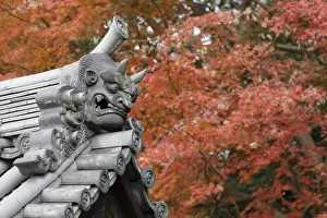 Typically Japanese Gallery: Autumn color around Todaiji Hokkedo in Nara, Japan, Asia