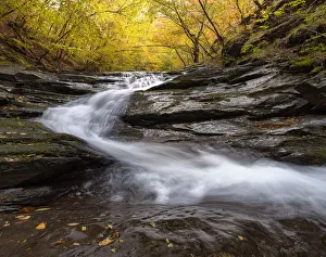Flowing Gallery: Autumn Colors in a beech trees wood with a waterfall flowing between rocks, long exposure