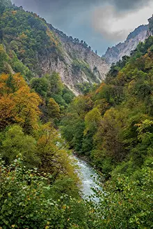 Bright Prints: Autumn colors display in the mountains of Caucasus region with trees lining a flowing river in North Ossetia