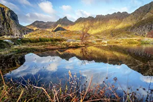 Lofoten Islands Prints: Autumn colors over mountains reflected in the sea