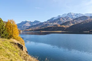 Engadine Prints: Autumn colors surrounding the clear Lake Sils, Maloja, Upper Engadine