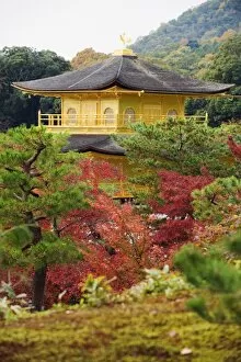 Autumn colour leaves, Golden Temple, Kinkaku ji (Kinkakuji), dating from 1397