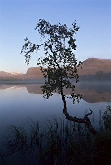Lappland Prints: Autumn colours