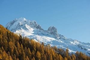 Rhone Alpes Prints: Autumn colours below Aiguille Verte