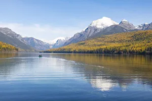 Glacier National Park Gallery: Autumn colours at Bowman Lake, Glacier National Park, Montana, United States of America