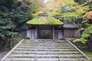 Images Dated 20th November 2009: Autumn colours and moss covered entrance, Honen in temple dating from 1680