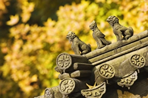 Images Dated 8th November 2007: Autumn colours and ornamental Chinese style decorative figures on a pavilion in Ritan Park