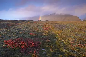 Rain Bow Prints: Autumn colours and rainbow over Illuklettar near Skaftafellsjokull glacier seen in the distance