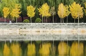Autumn colours reflected in the moat of the Forbidden City Palace Museum