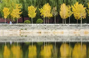Autumn Colour Prints: Autumn colours reflected in the moat of the Forbidden City Palace Museum