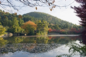 Images Dated 22nd November 2009: Autumn colours reflected a pond at Ryoan ji (Ryoanji) Temple dating from 1450