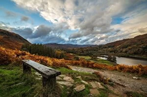 Bench Collection: Autumn colours from Rydal Water in Lake District National Park, UNESCO World Heritage Site