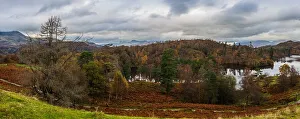 Autumnal Prints: Autumn colours from Tarn Hows, Coniston