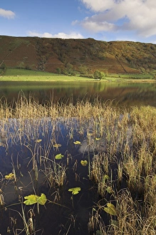 Autumn colours, Watendlath Tarn, Borrowdale, Lake District National Park