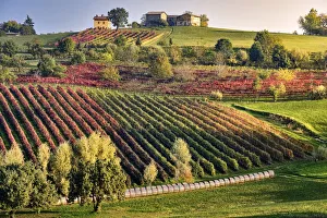 Autumn countryside landscape with a hill full of colored vineyards and a small house on top, Castelvetro di Modena Autumn countryside landscape with a hill full of colored vineyards and a small house on top, Castelvetro di Modena