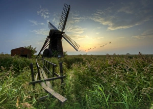 Wind Mills Prints: Autumn dusk at Herringfleet, Suffolk, England, United Kingdom, Europe