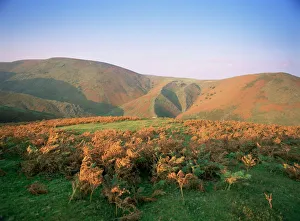 Fall Prints: An autumn evening, The Long Mynd, Shropshire, England, United Kingdom, Europe