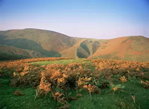 Fall Collection: An autumn evening, The Long Mynd, Shropshire, England, United Kingdom, Europe