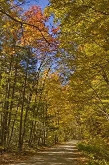Autumn fall colours, Vermont back country road near West Arlington, Virginia
