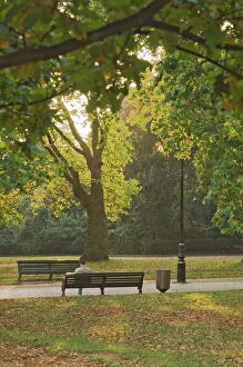 Images Dated 8th January 2000: Autumn, Hyde Park, London, England, United Kingdom, Europe