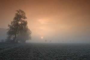 Moody Prints: Autumn impression