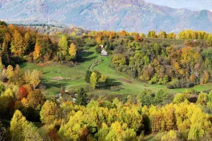 Romania Prints: Autumn landscape with vibrant trees and hills shows the beauty of nature in Romania during fall season