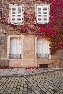 Yonne Prints: Autumn leaves in Noyers-sur-Serein