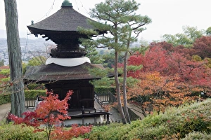Images Dated 24th November 2009: Autumn maple leaves at the 16th century Jojakko ji (Jojakkoji) Temple, Arashiyama Sagano area