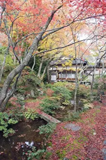 Autumn maple leaves at the 16th century Jojakko ji (Jojakkoji) Temple, Arashiyama Sagano area
