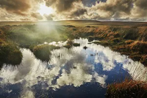 Autumn across the marshy open moors of Dartmoor, Gidleigh Common, near Chagford, Dartmoor National Park, Devon, England, United Kingdom, Europe
