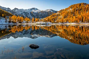 Autumn mirror at San Giuliano lake, Dolomiti di Brenta Natural Park, Dolomites, Trentino-Alto Adige