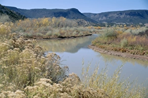 New Mexico Prints: Autumn scene, Abiquiu, New Mexico, United States of America (U
