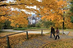 Images Dated 31st October 2010: Autumn at Schlossberg, Schwabentor, Freiburg, Baden-Wurttemberg, Germany, Europe