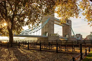Tower Bridge Collection: Autumn sunrise in grounds of the Tower of London, with Tower Bridge, London, England