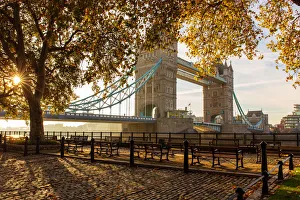 Bascule Bridge Prints: Autumn sunrise in grounds of the Tower of London, with Tower Bridge, London, England