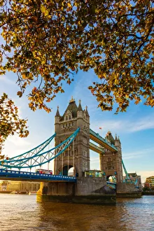 Autumn sunrise in grounds of the Tower of London, with Tower Bridge, London, England