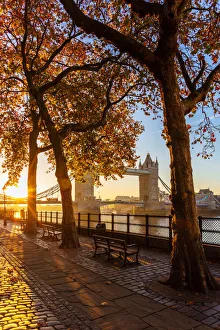 Autumn sunrise in grounds of the Tower of London, with Tower Bridge, London, England