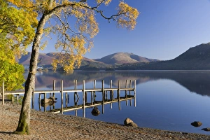 Borrowdale Prints: Autumn sunshine over Brandlehow, Borrowdale, The Lake District National Park, Cumbria