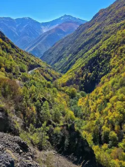 Trail Prints: Autumn trees cover the slopes of mountains in Chechnya