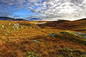 Autumnal Scene Prints: An autumn view of the colorful grass covered hills and moors of Kentra Bay as mist