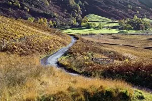 Rural Road Collection: An autumn view of a gate and winding road through the fern covered hills and fells